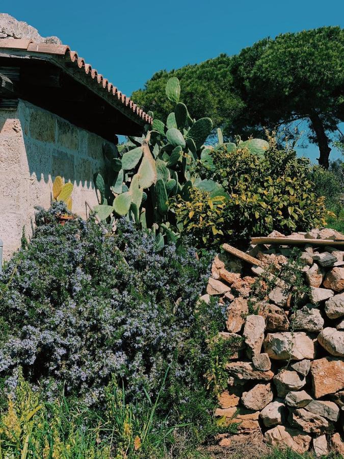 منزل الضيف أليستي  في Trullo Contrada Stracca المظهر الخارجي الصورة
