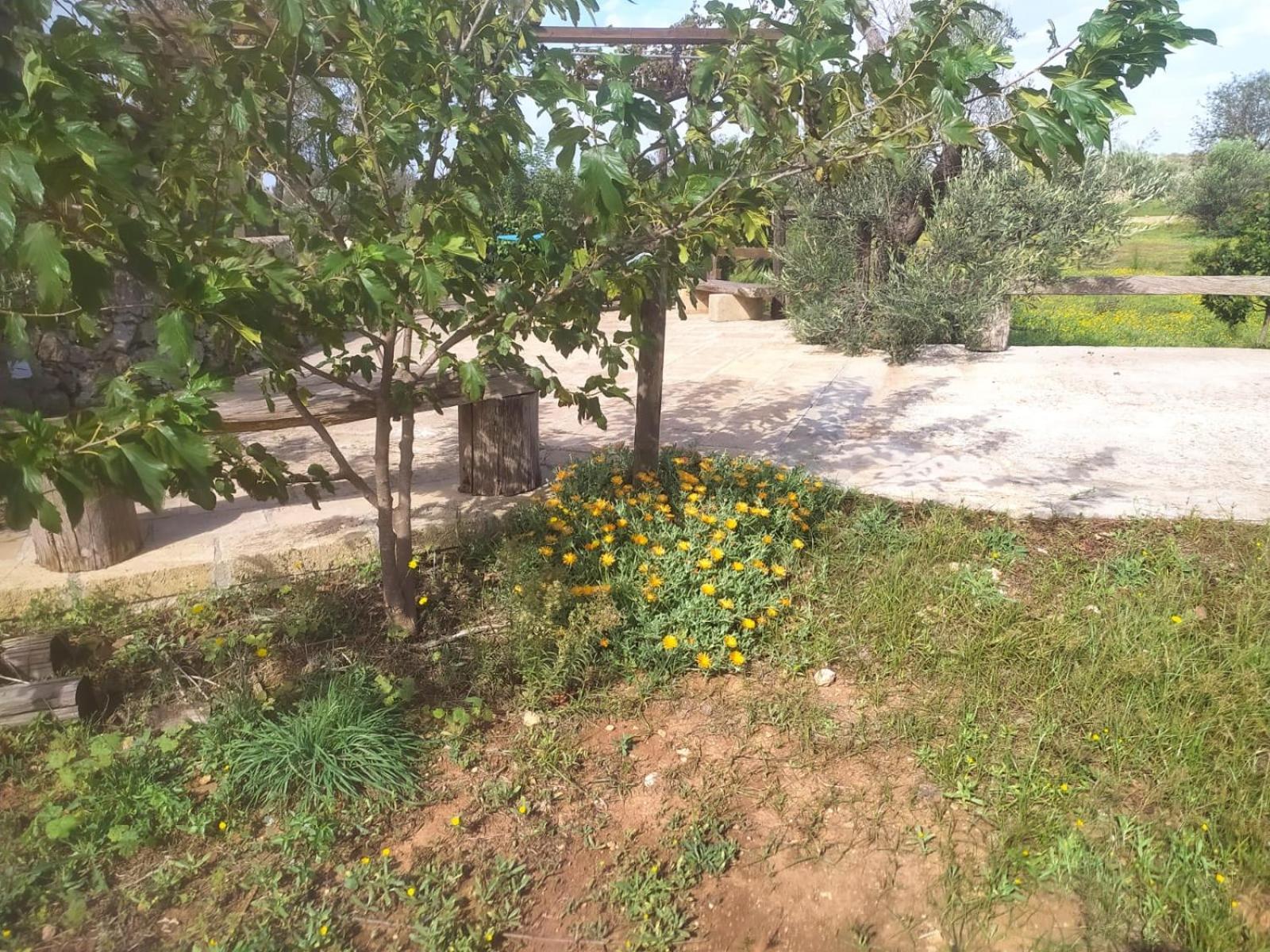 منزل الضيف أليستي  في Trullo Contrada Stracca المظهر الخارجي الصورة