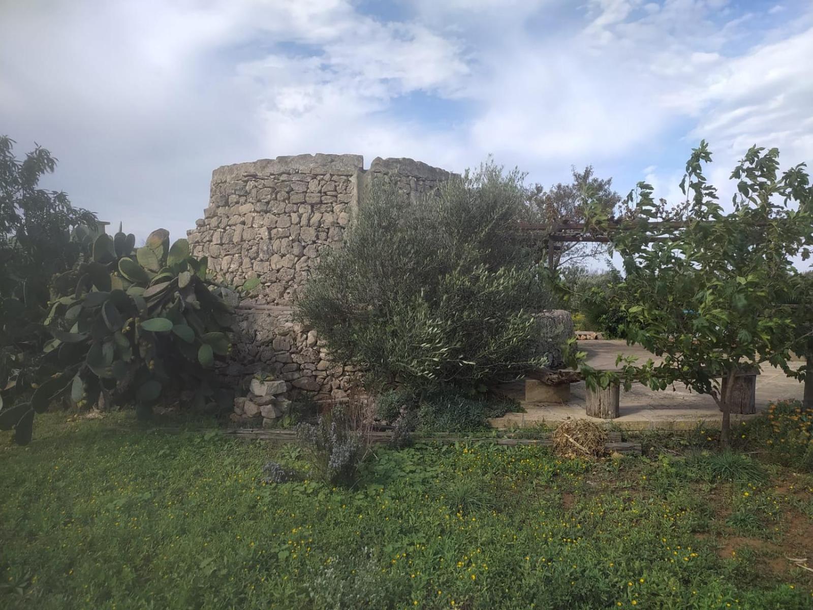 منزل الضيف أليستي  في Trullo Contrada Stracca المظهر الخارجي الصورة
