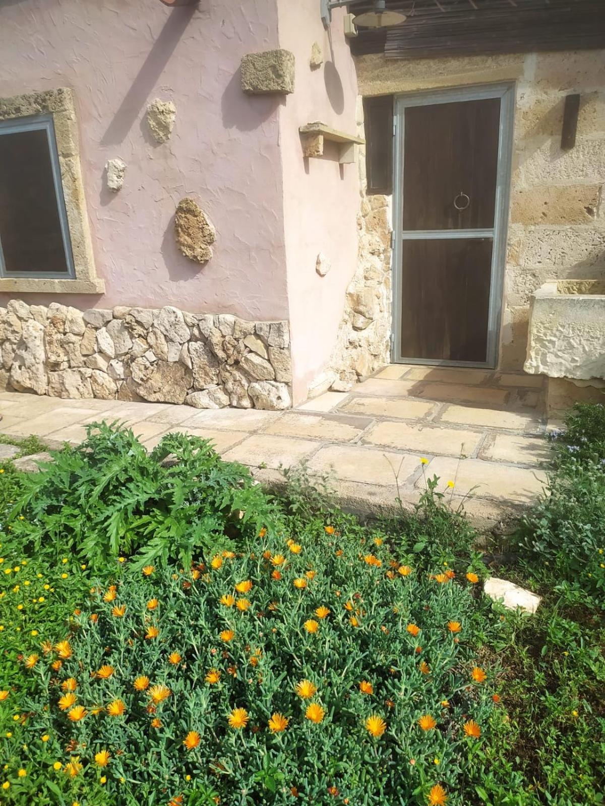 منزل الضيف أليستي  في Trullo Contrada Stracca المظهر الخارجي الصورة